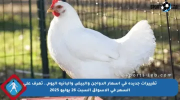 تغييرات جديدة في أسعار الدواجن والبيض والبانيه اليوم.. تعرف على السعر في الأسواق السبت 26 يوليو 2025